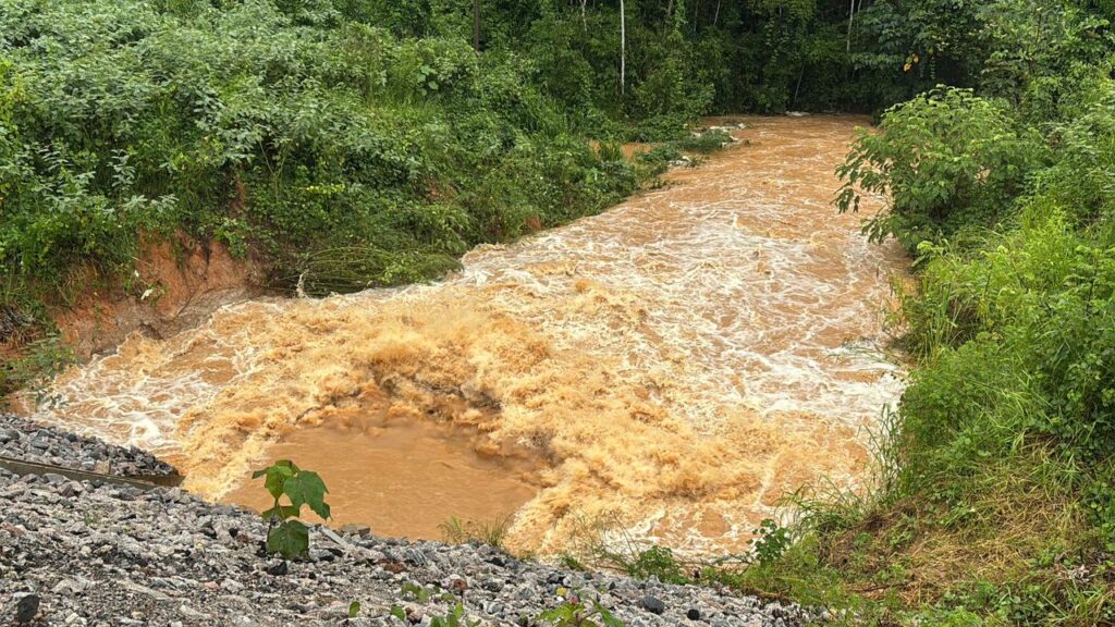 WhatsApp Image 2026-01-27 at 8.11.48 PM