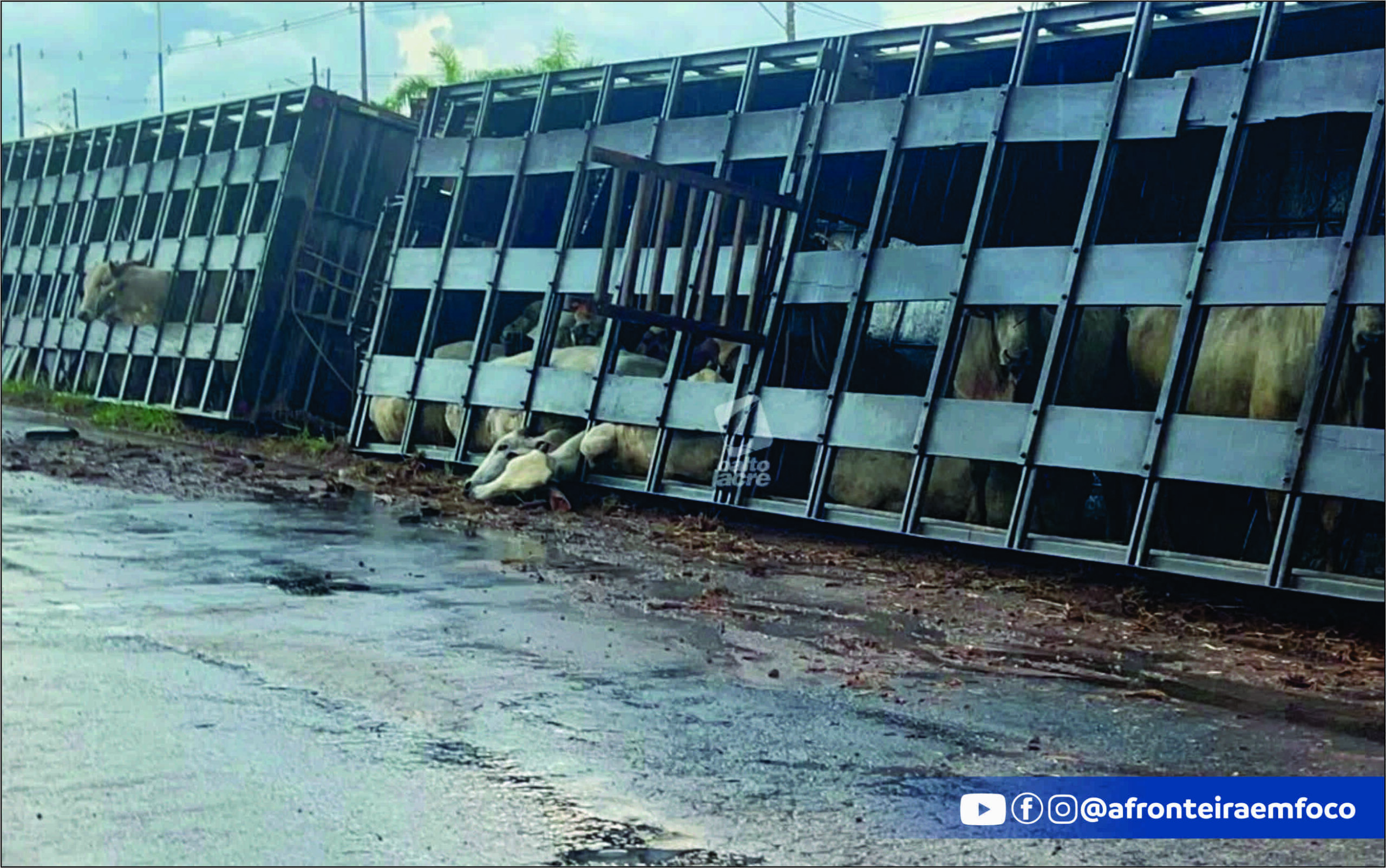 Carreta bitrem carregada com gado tomba na BR-364 e provoca congestionamento em Rio Branco